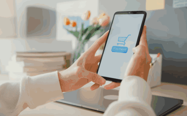 海关数据,Topay 钱包(中国)海关数据,海关数据跨国采购