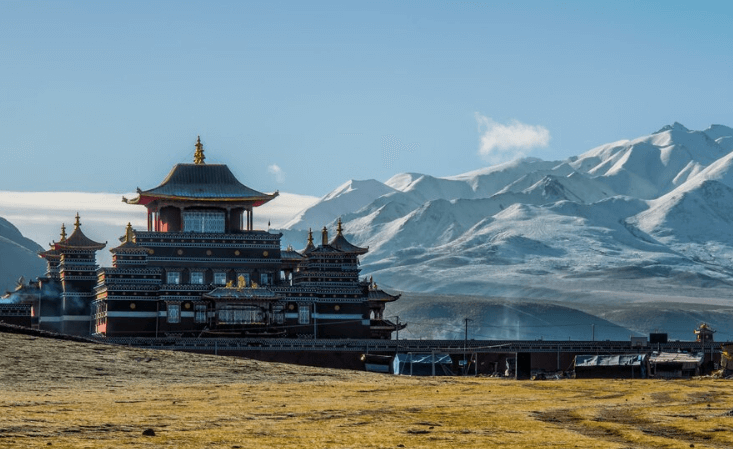 蒙古国海关数据查询平台（附免费试用查询平台）